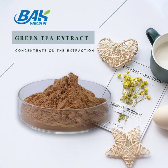 GTP 20 EGCG 15 Catechin 30 Immune Enhancing Supplements Green Tea