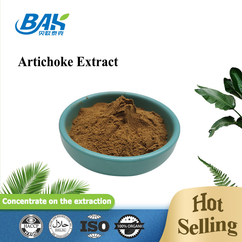 2.510 Liver Protection Supplement Cynarin Artichoke Extract